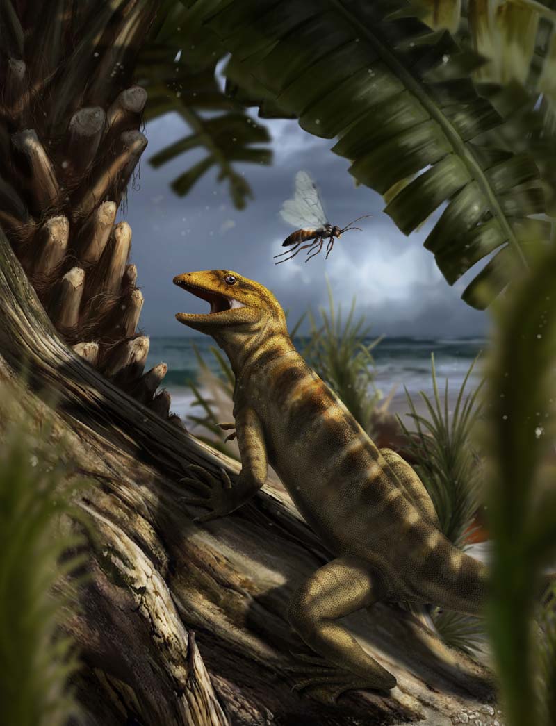 Megachirella, the most ancient ancestor of all modern lizards and snakes, in an artists rendering by Davide Bonadonna