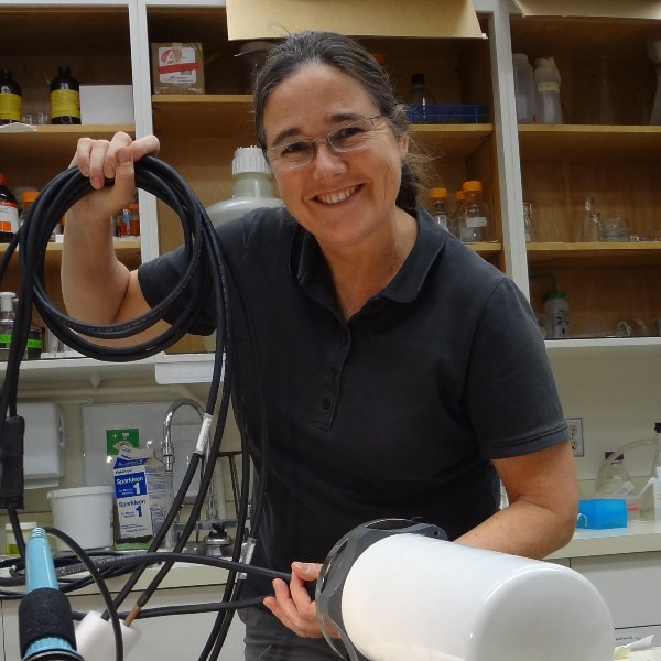 New research shows sediment stirred up by human activity is clogging glass sea sponges on Canada's west coast.