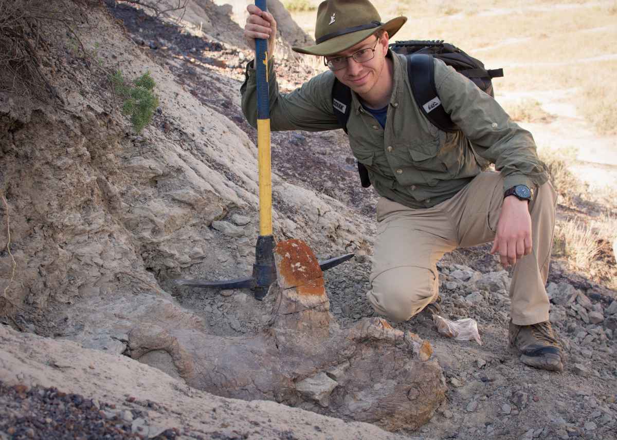 University of Alberta paleontologists uncover spiky skull-and overturn long-standing assumptions in identifying horned dinosaurs.