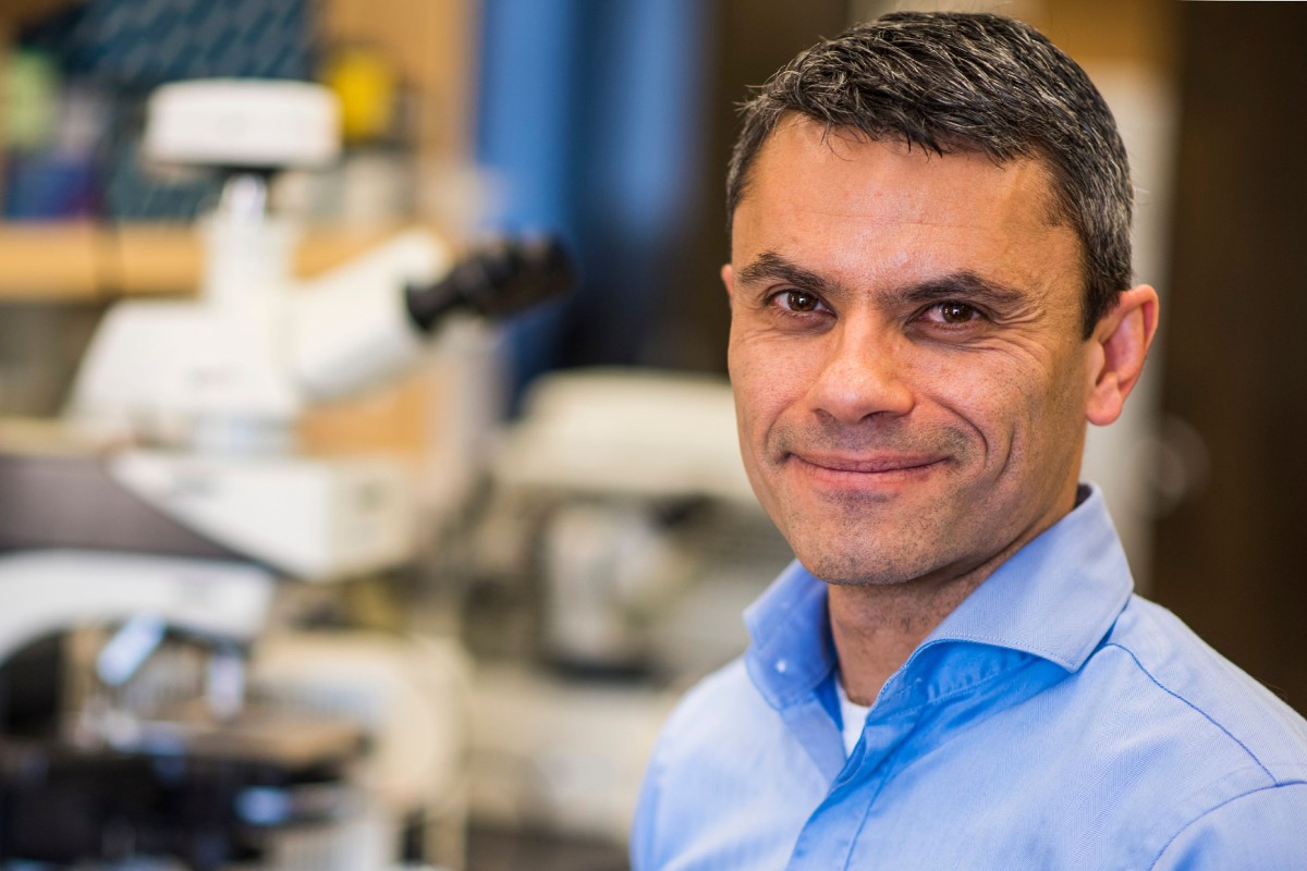 New dean of the Faculty of Science Declan Ali, pictured in his lab on the University of Alberta North campus.