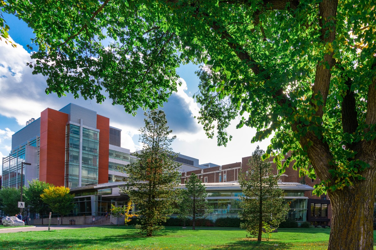 The Centennial Centre for Interdisciplinary Science (CCIS) at the University of Alberta, pictured in summer. 