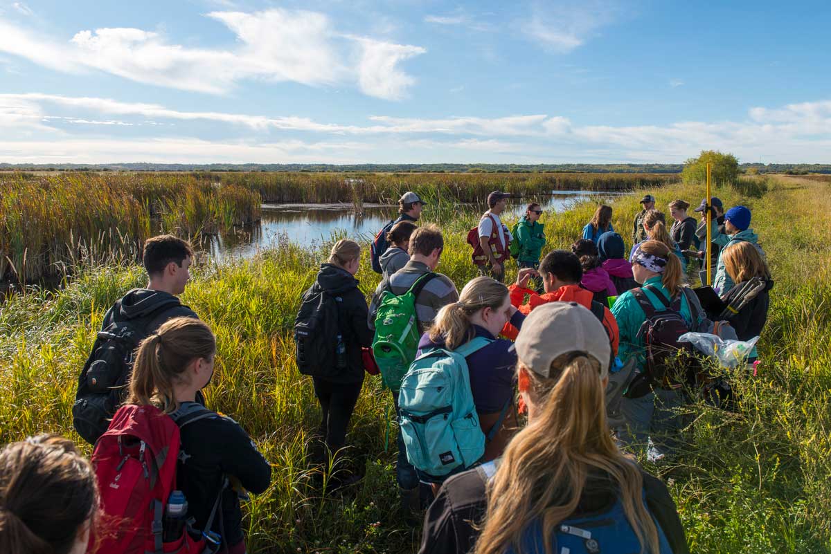 Wetlands Field trip