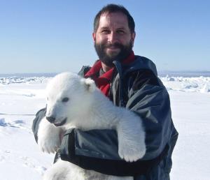 Polar bear researcher Andrew Derocher with a cub