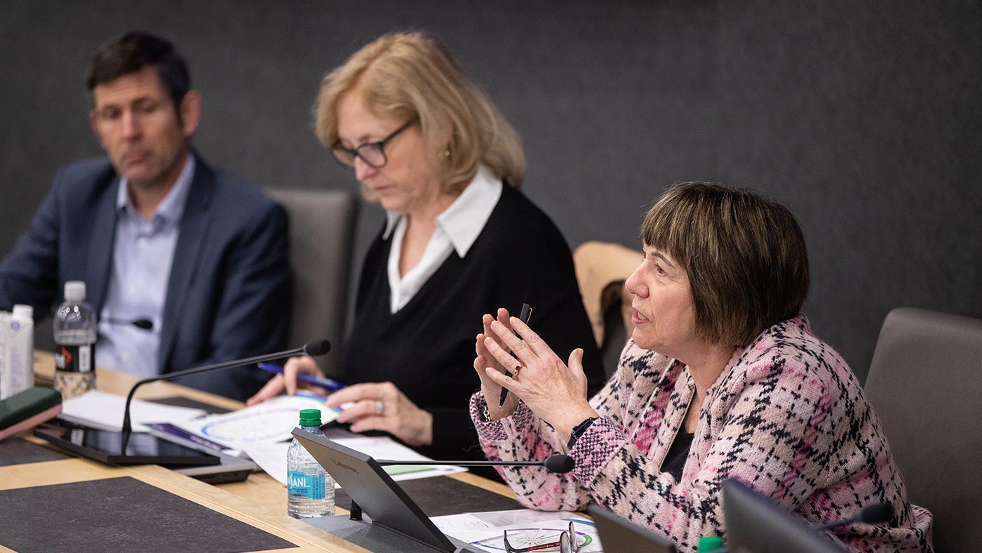 The panellists speaking