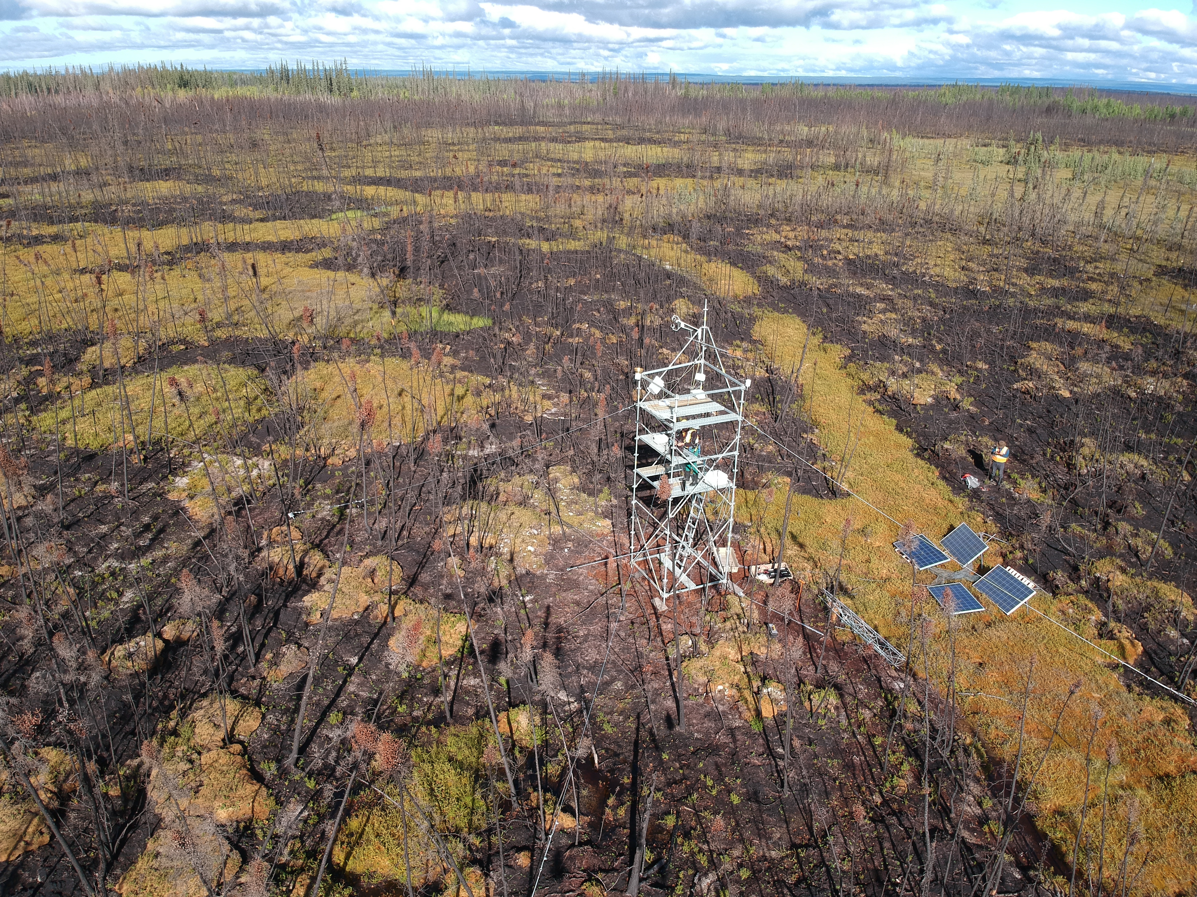 aerial-peatland-shot.jpg