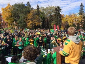 A view from the stage at Green and Gold Day 2015