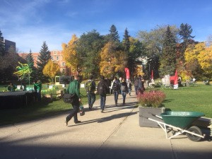 Preparing Green and Gold Day 2015