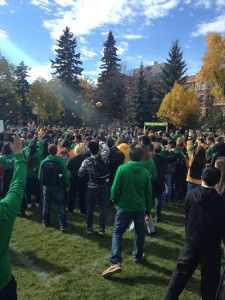 In the crowd at Green and Gold Day 2015