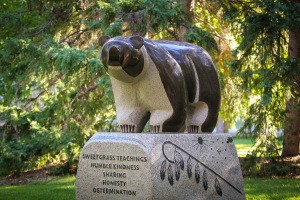 The Sweetgrass Bear at U of A