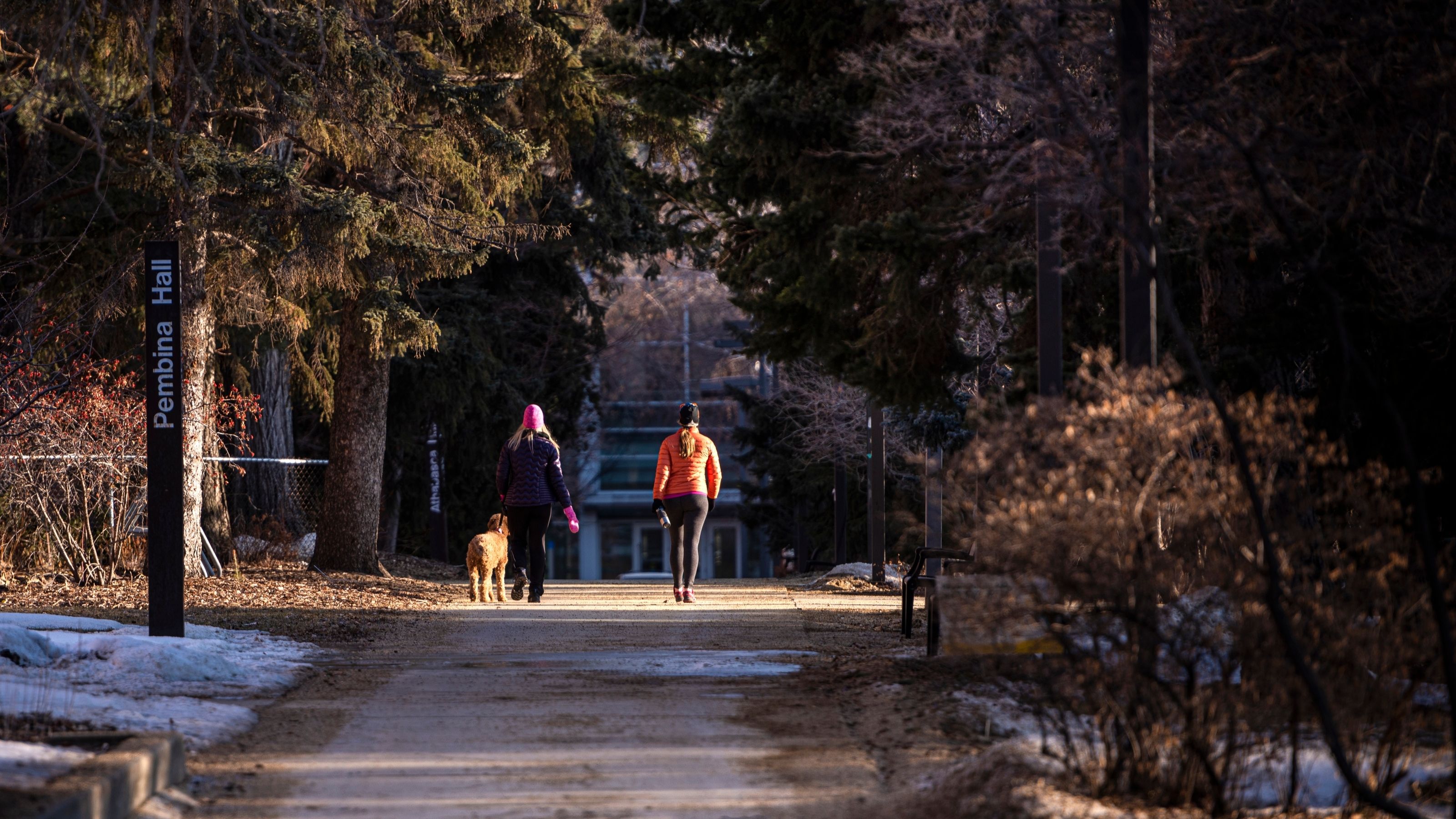 Planning for U of A employees to return to campus | The Quad