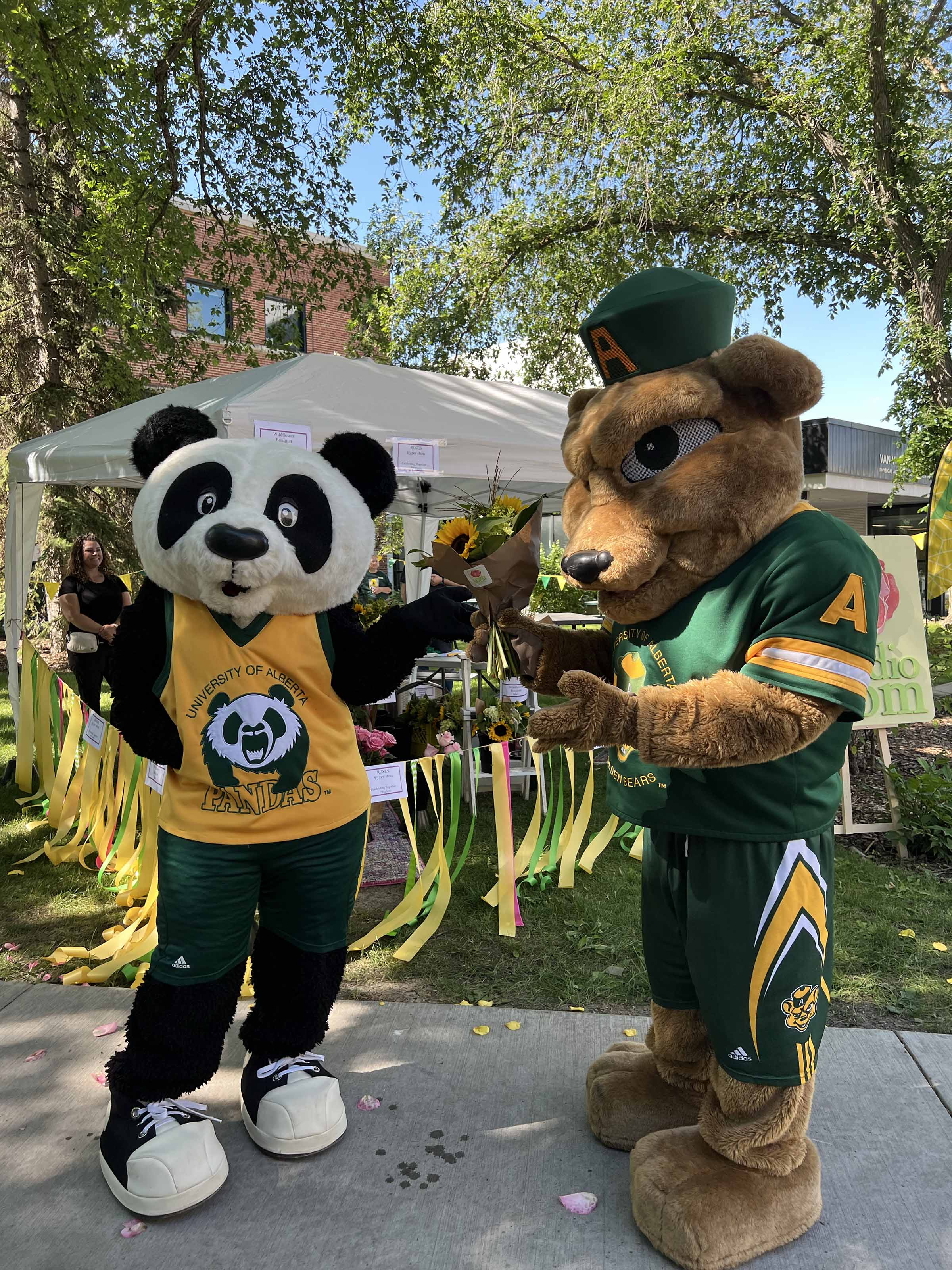 U of A mascots Patches (left) and Guba (right)