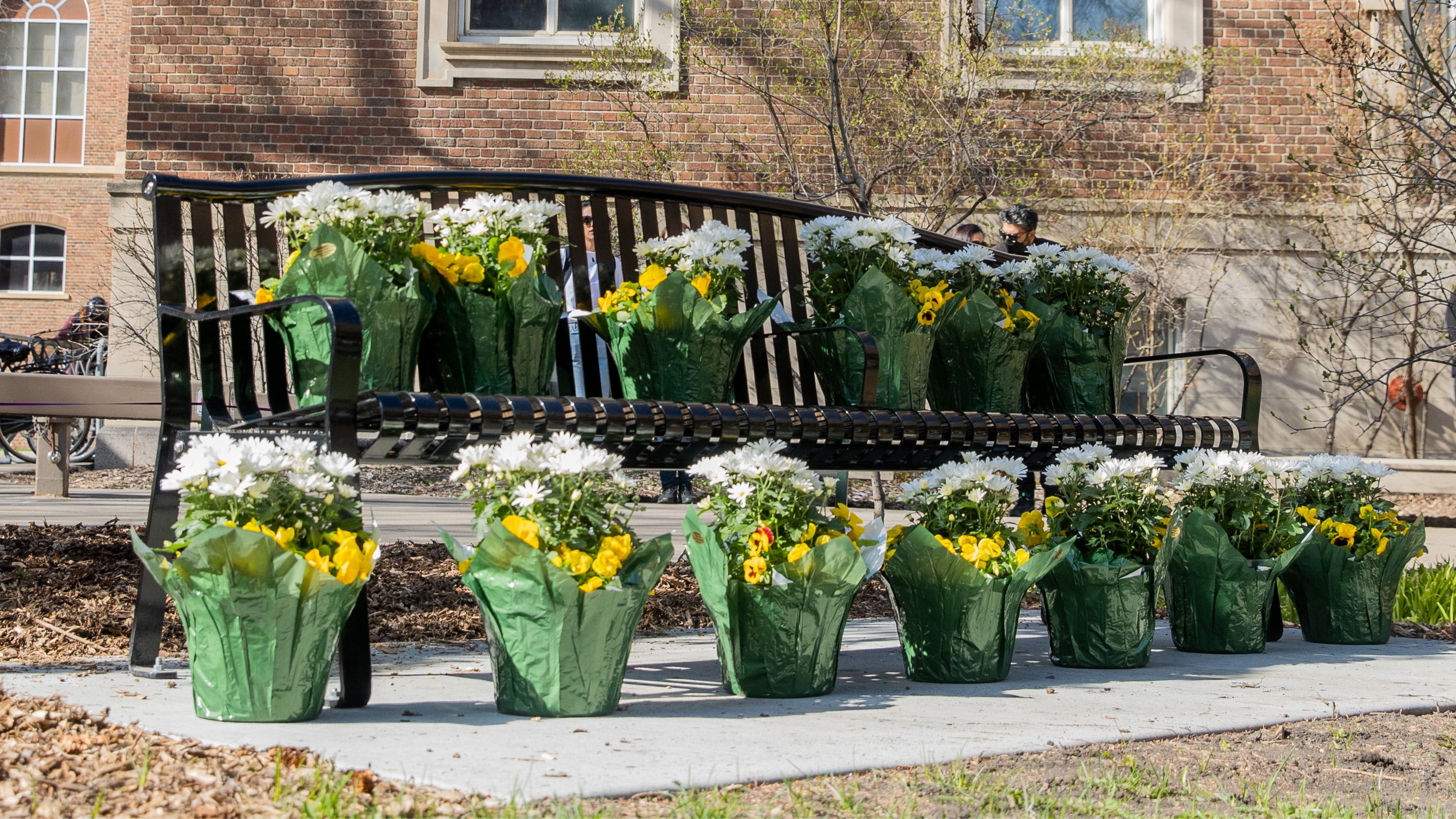 Memorial bench honouring the lives of U of A community members who died on Flight PS752