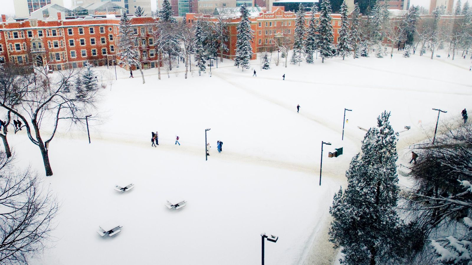 Campus In Winter 