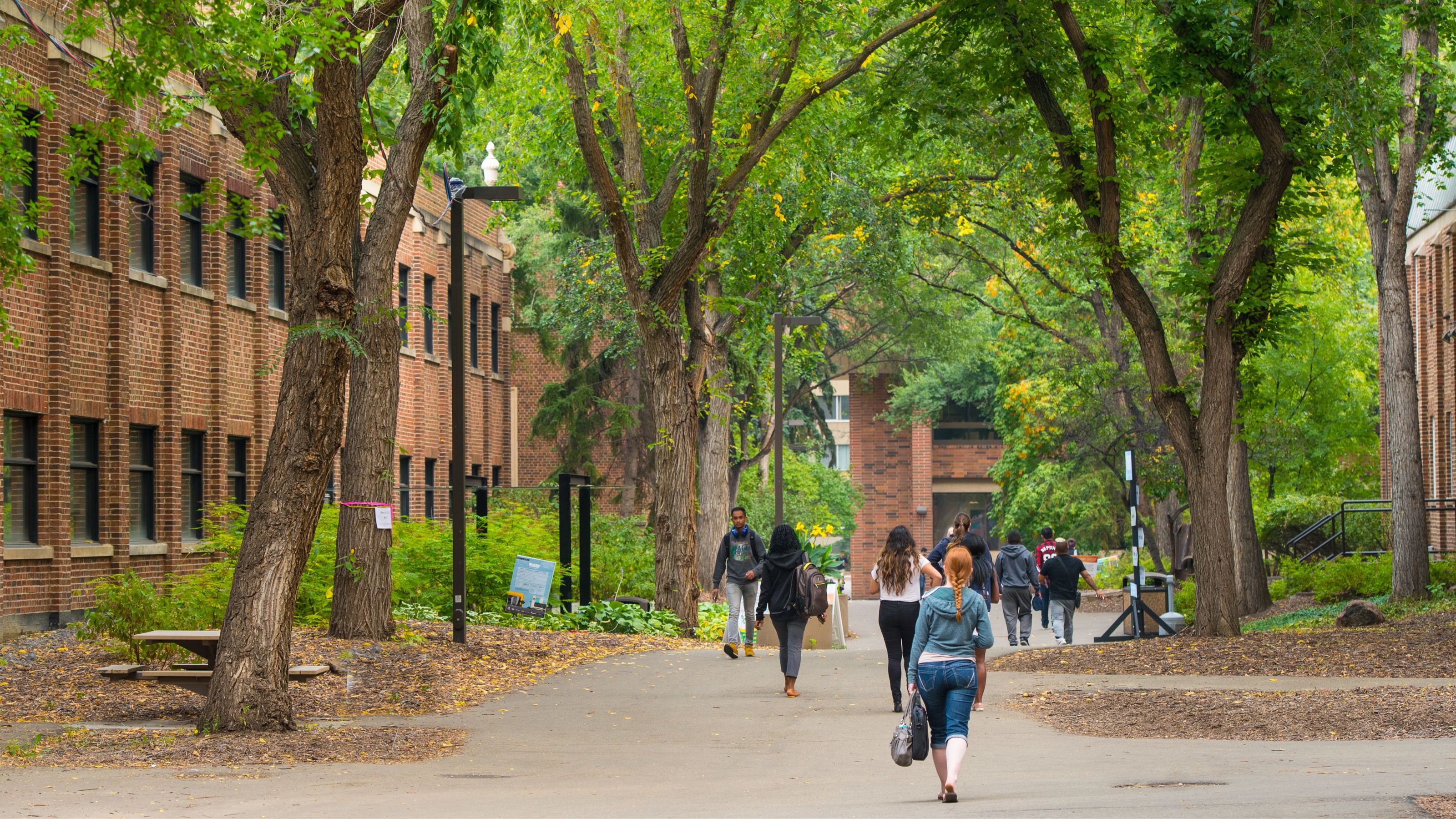 Exterior of Triffo Hall, University of Alberta