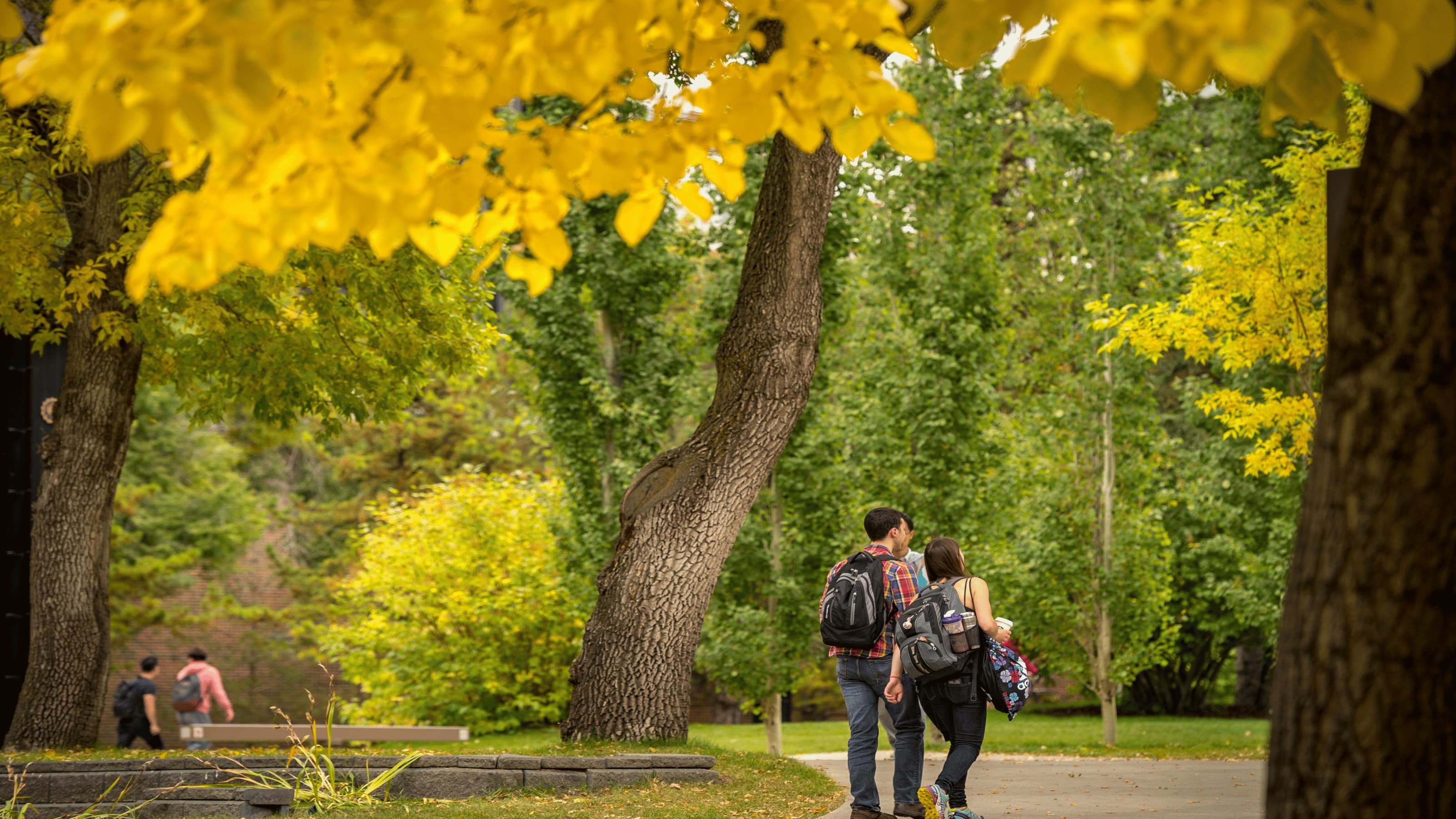 Students walking on campus in the fall