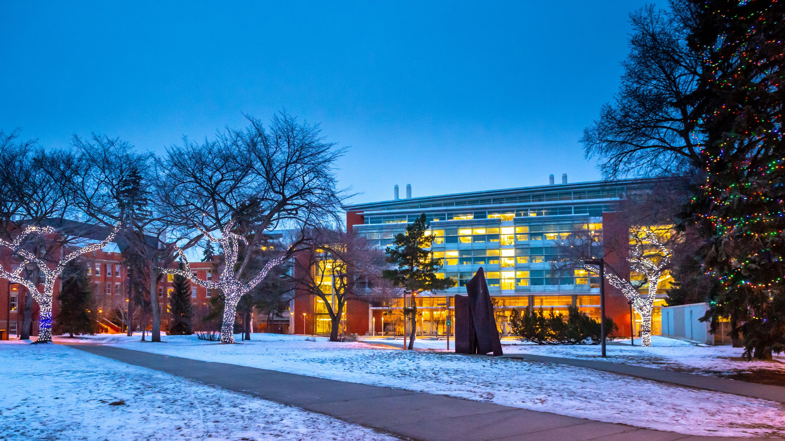 University of Alberta North Campus holiday lights