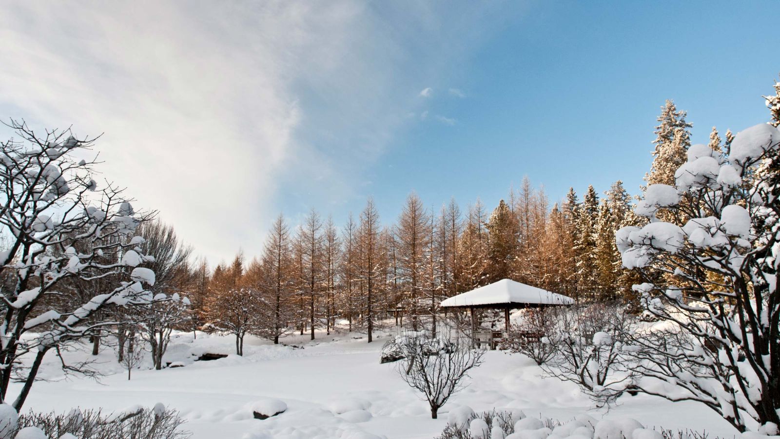 University of Alberta Botanic Garden during winter