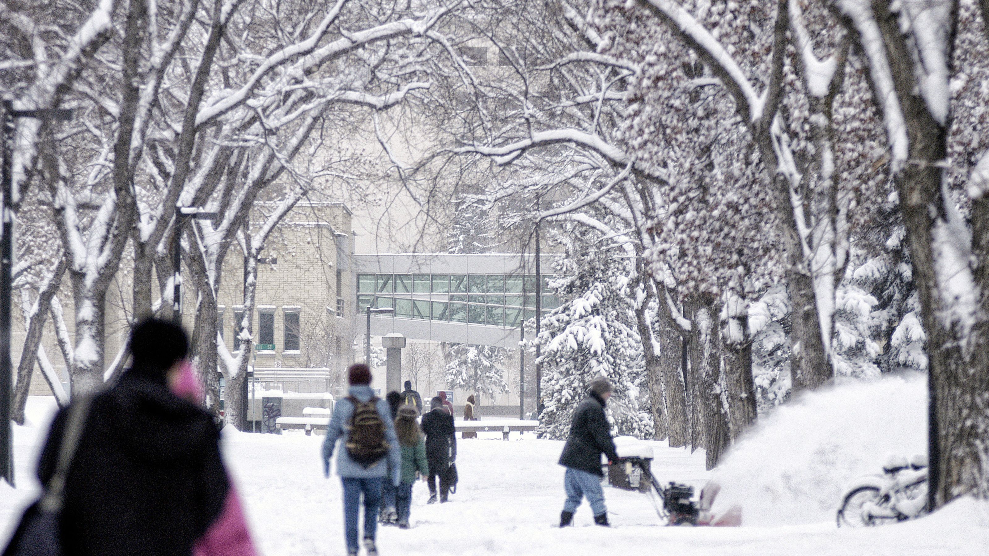 Snowy walking path by treed area on campus near Education building.