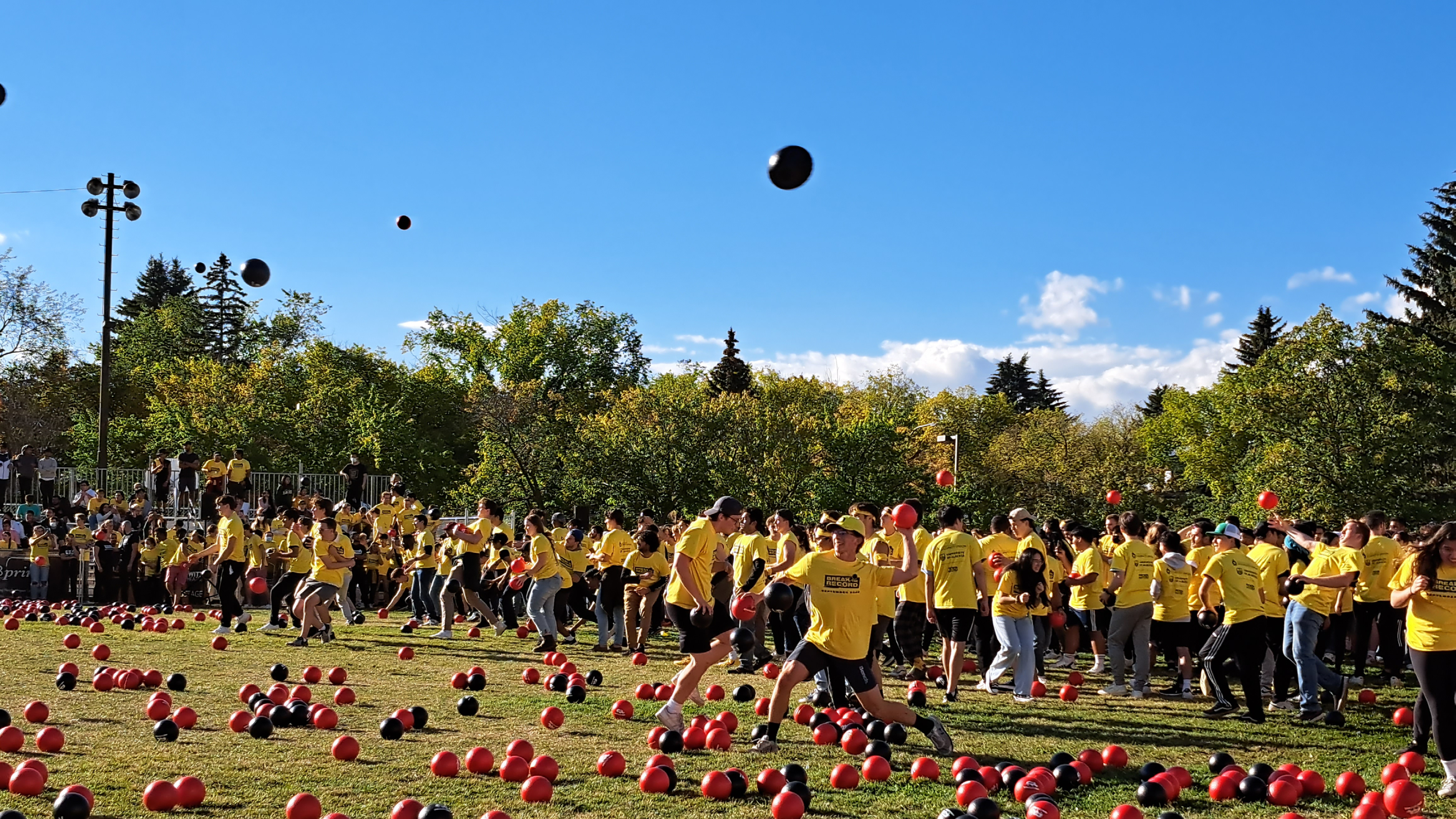 dodgeball.png