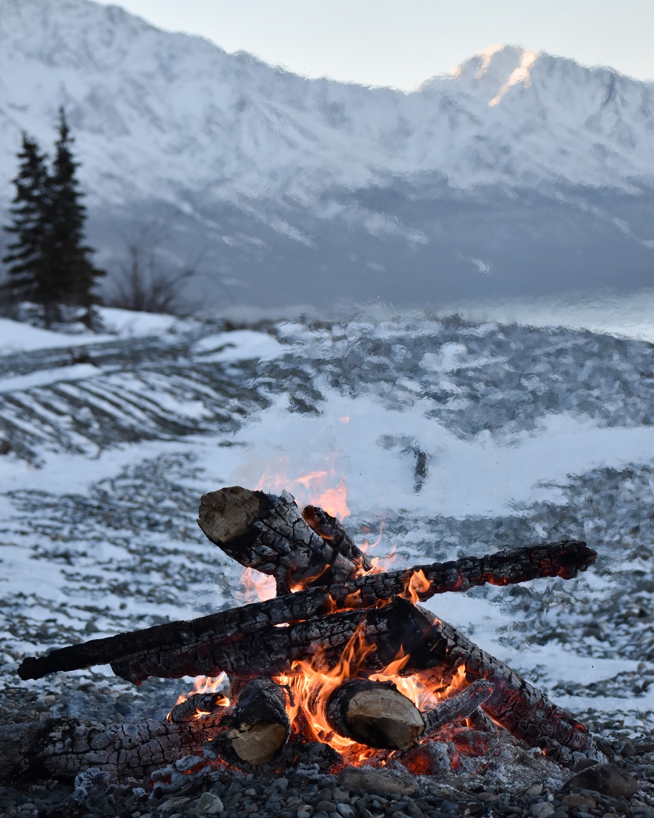 burning logs