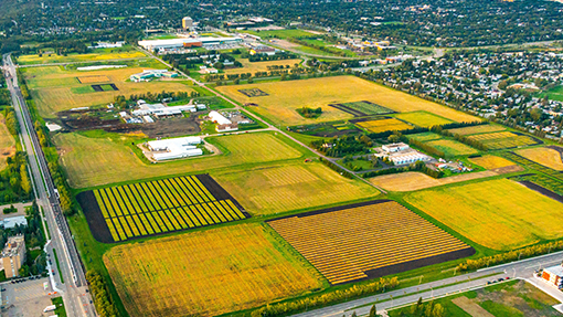 Aerial view of South Campus in the fall, with golden fields and agricultural buildings