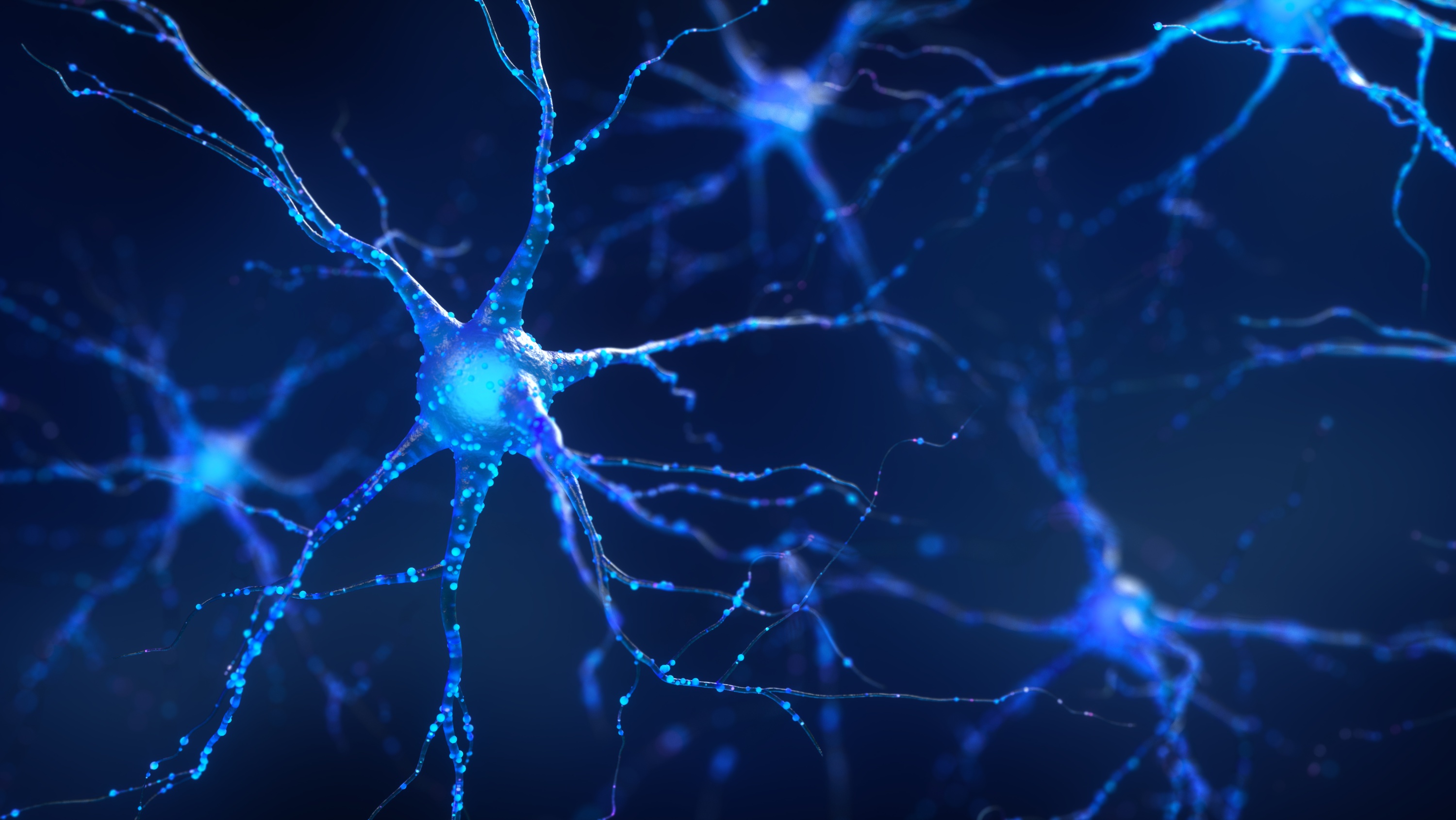 Researchers Team Up To Speed Up Nerve Regeneration Folio