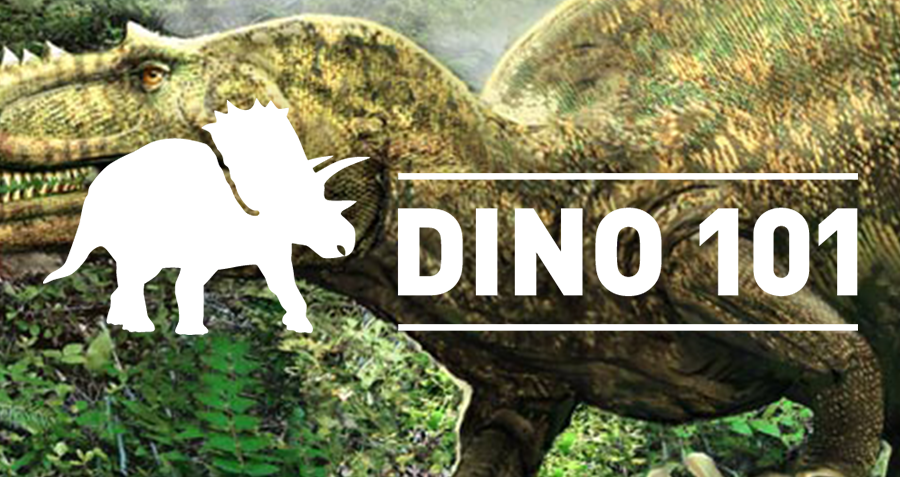 A silhouette of a triceratops next to the words Dino 101.