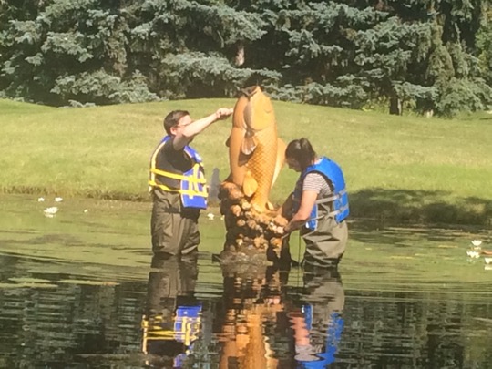 A carp sculpture in the middle of a pond with two individuals cleaning it