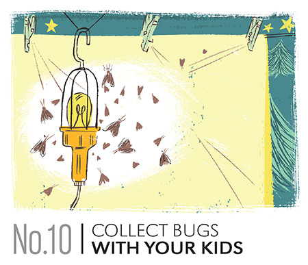 Collect Bugs with Your Kids