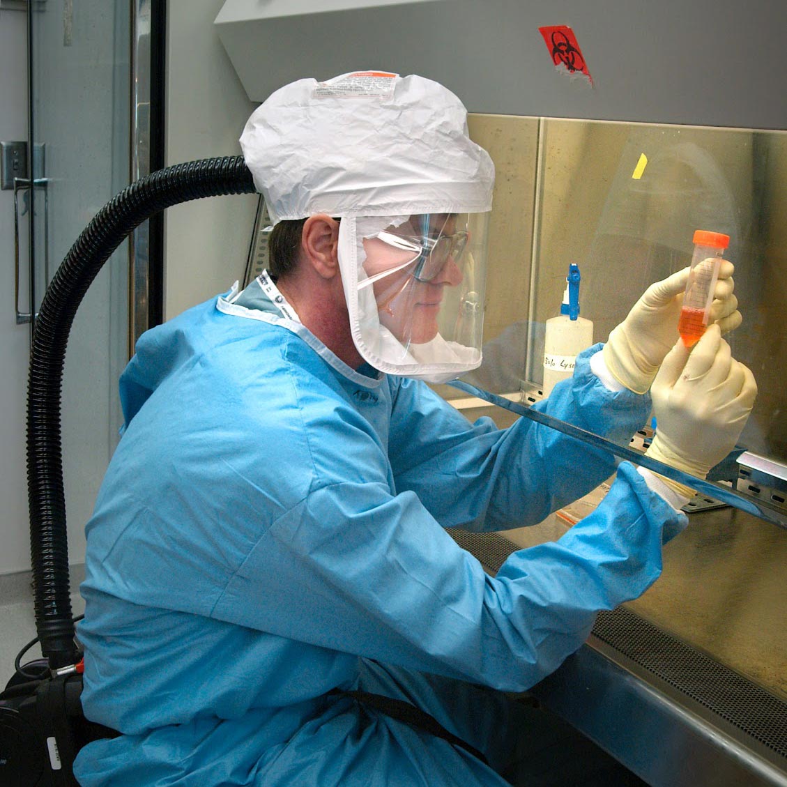 Scientist working under a biohazard hood