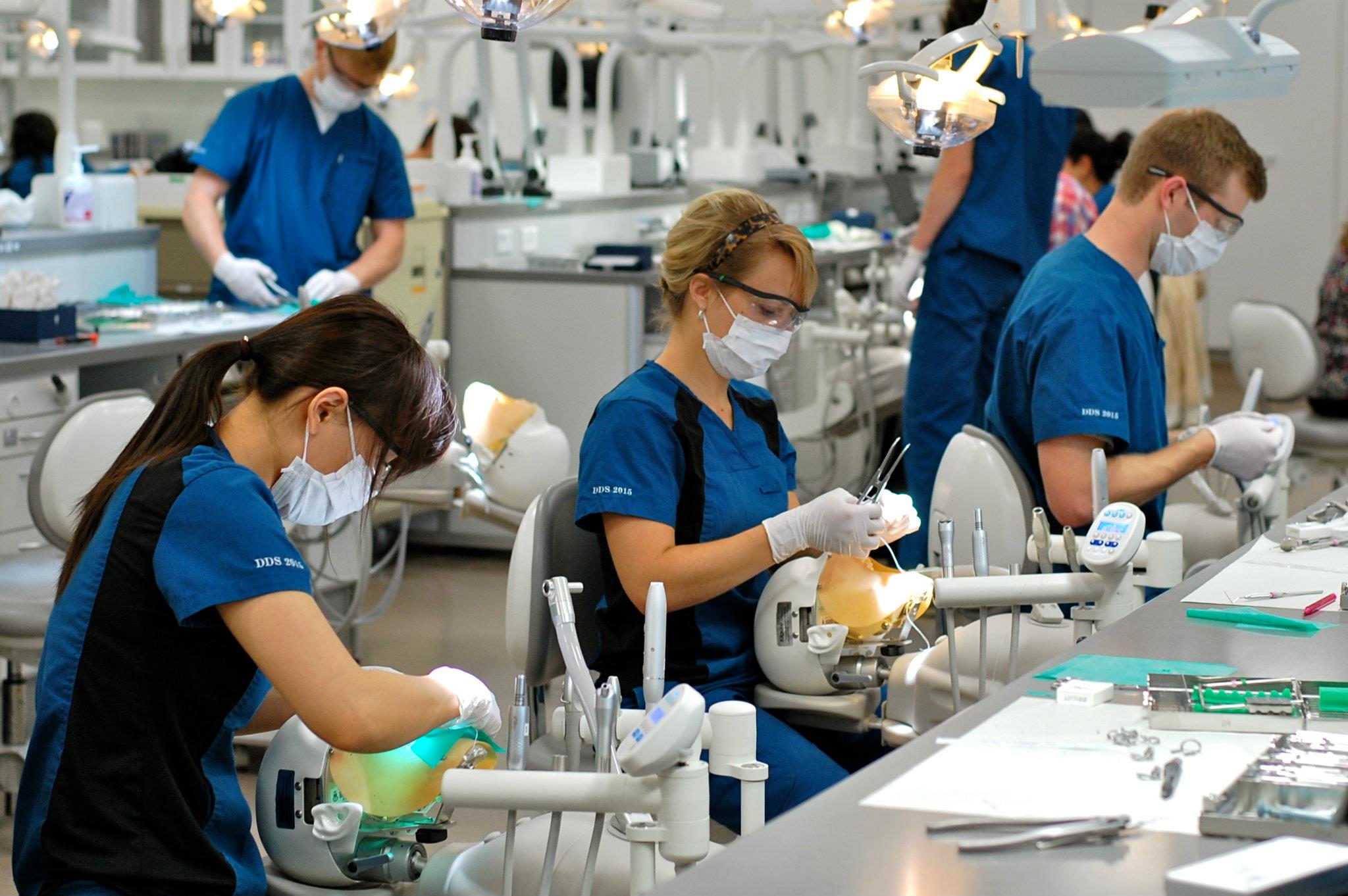 Dentistry School Of Dentistry