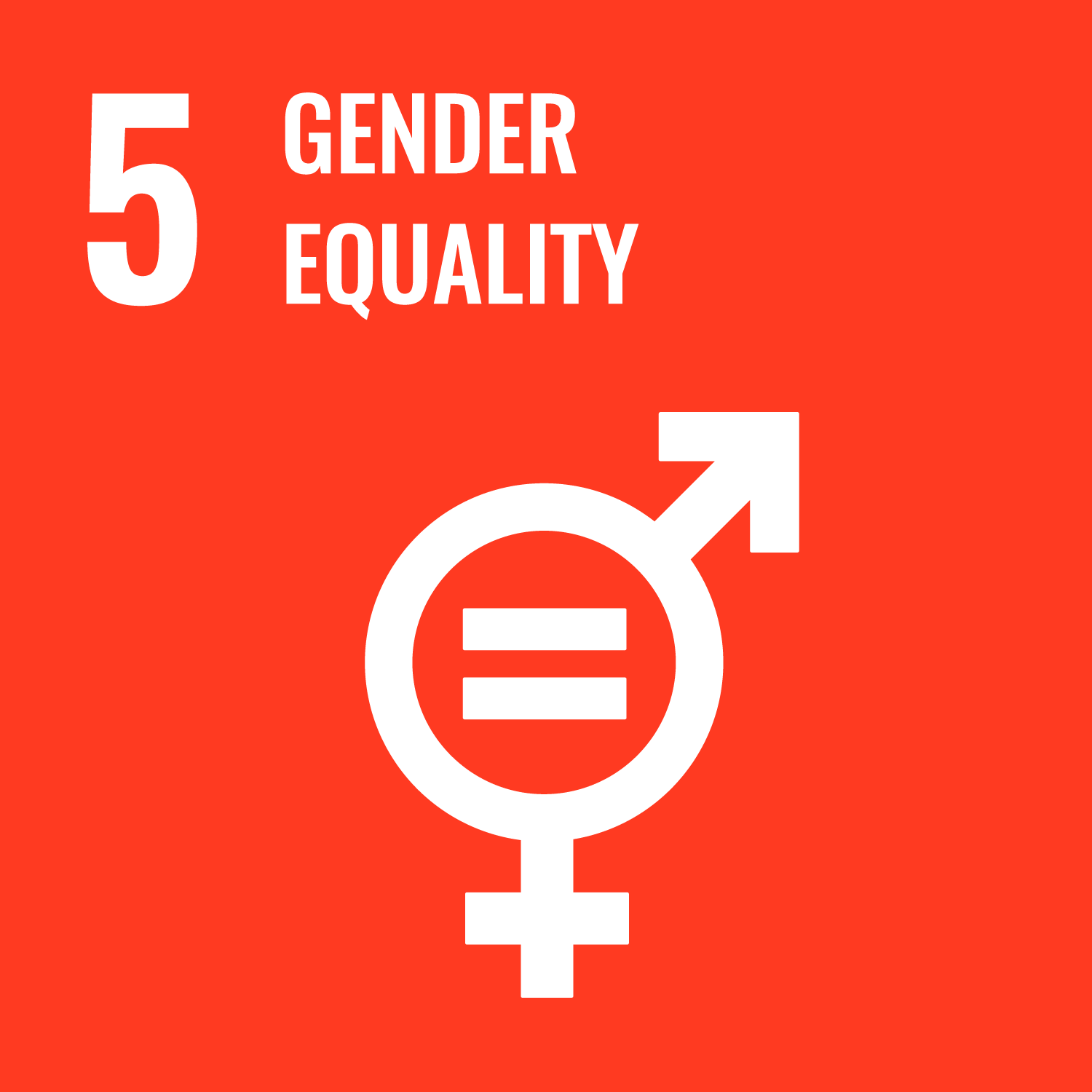 Logo for the Sustainable Development Goal 5: Quality Education