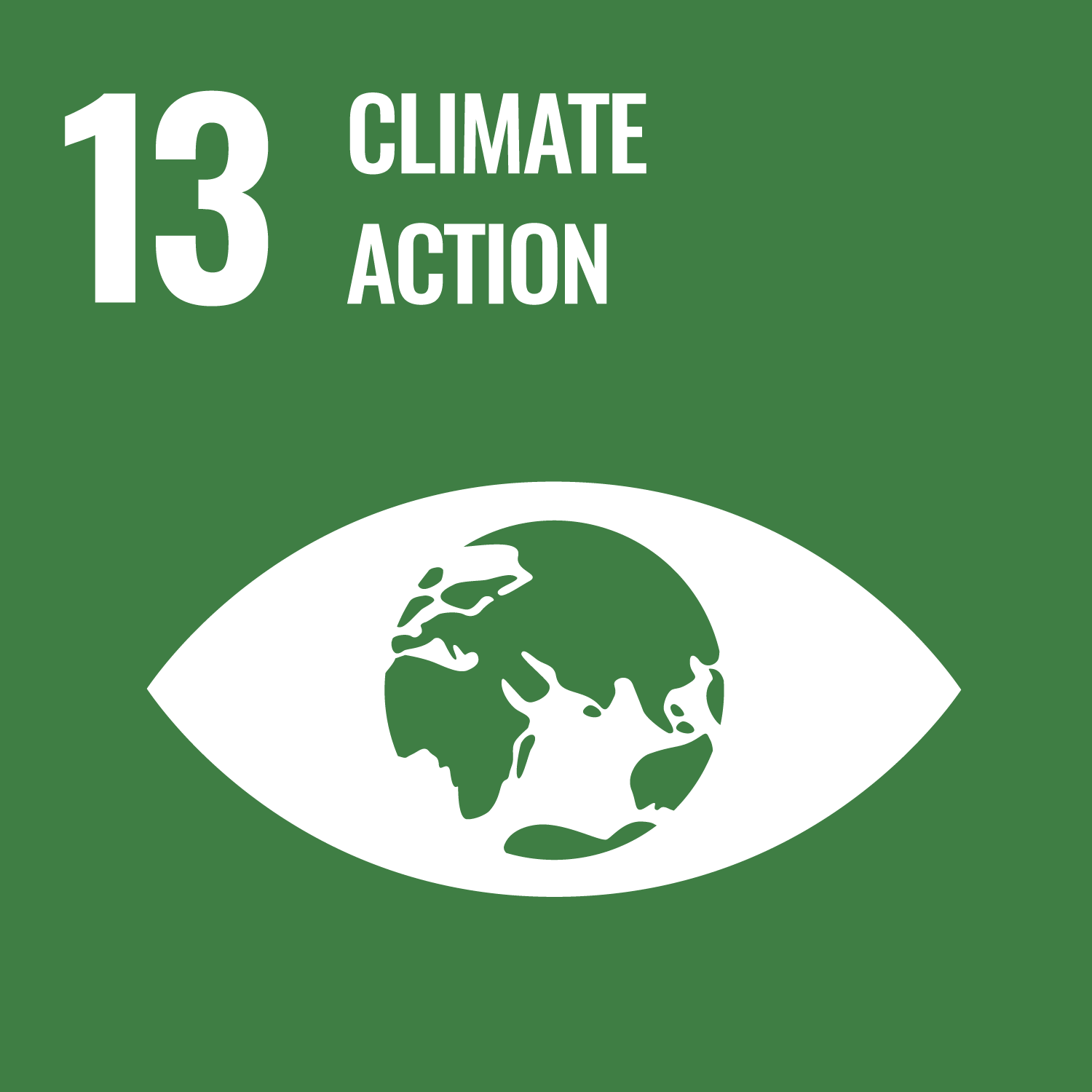 Logo for the Sustainable Development Goal 13: Climate Action