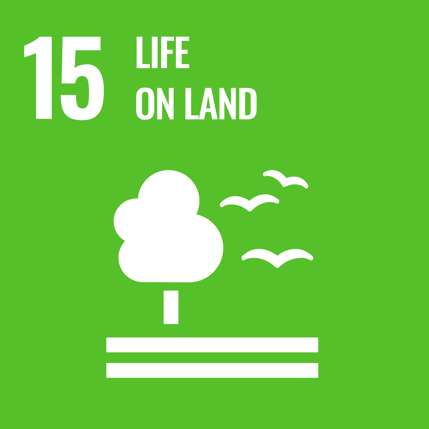 Logo of the Sustainable Development Goal 15: Life on Land