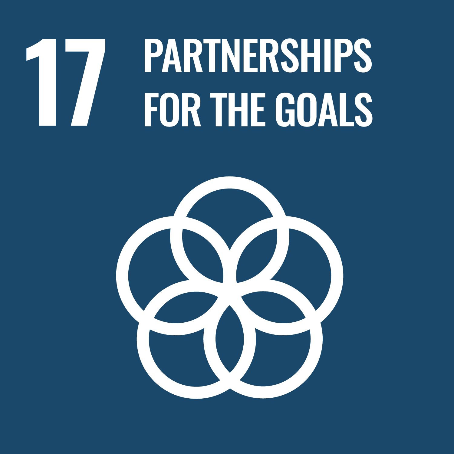 Logo of the Sustainable Development Goal 17: Partnerships for the Goals