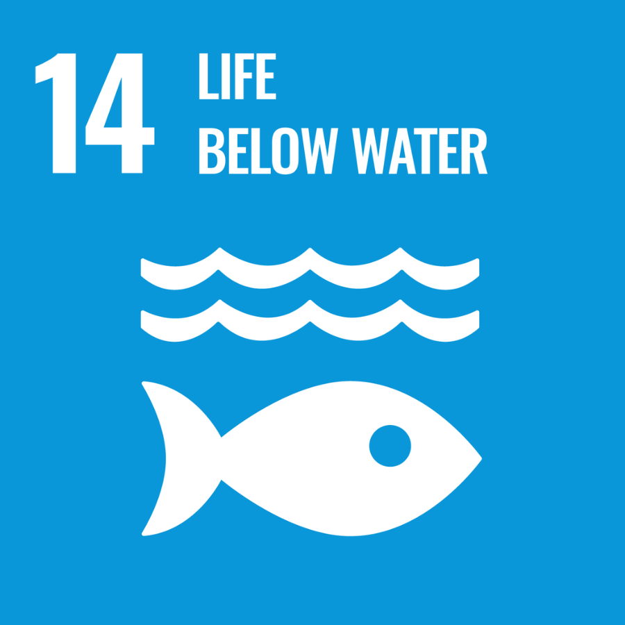 Sustainable Development Goal 14 Logo: Life Below Water