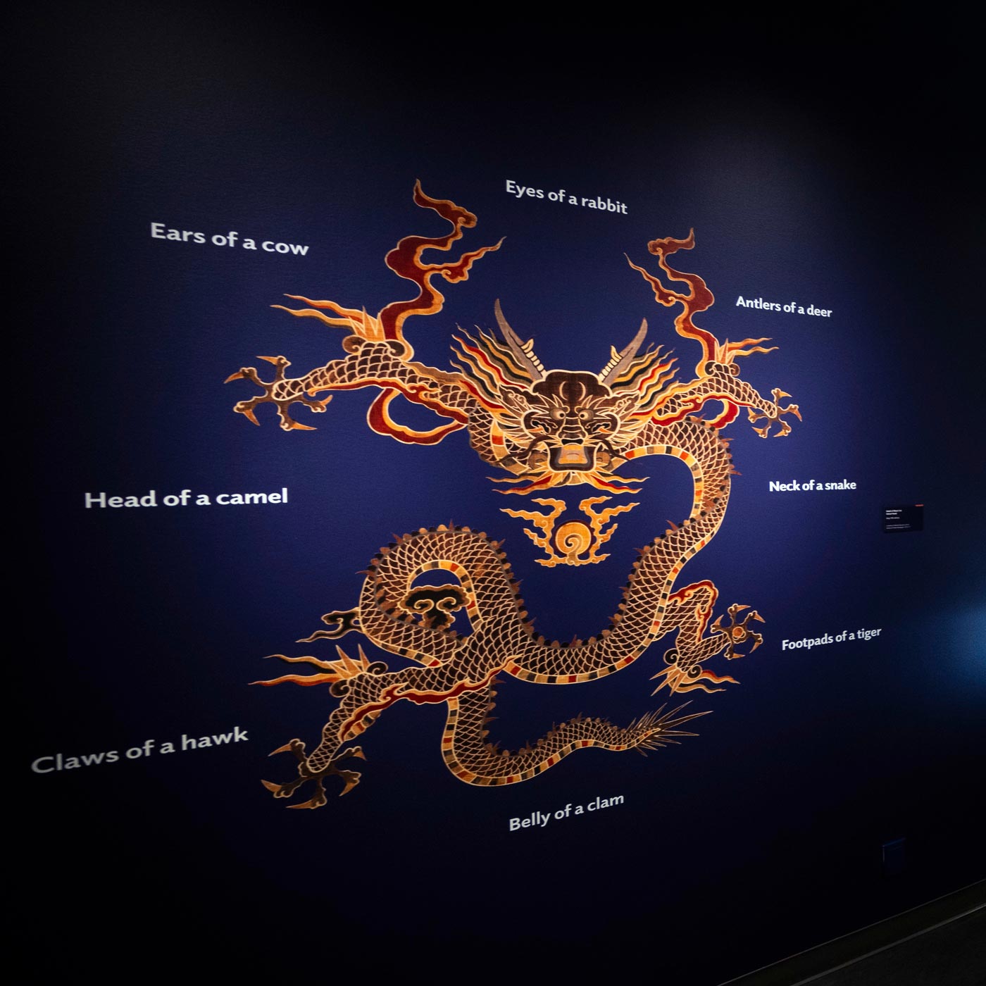 Reproduction of a Chinese dragon image showing the various animal parts they take their shape from