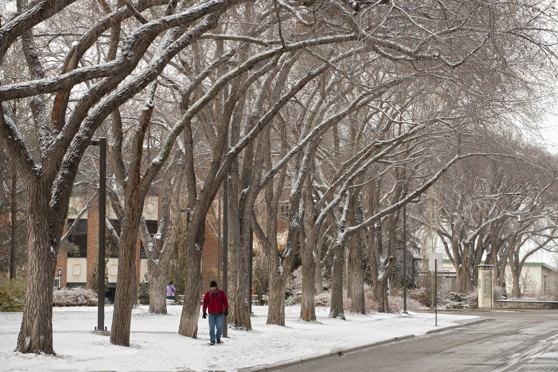 How to Survive Your First Winter in Canada, by YouAlberta, YouAlberta